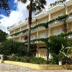 Paloma Blanca Ύψος