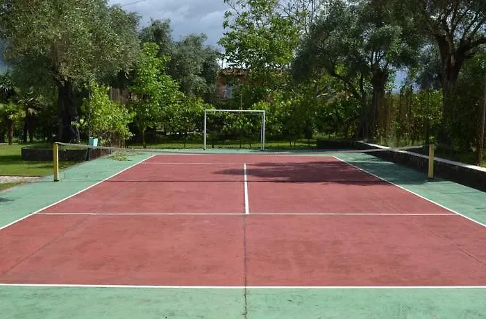 Paloma Blanca 3* Ипсос